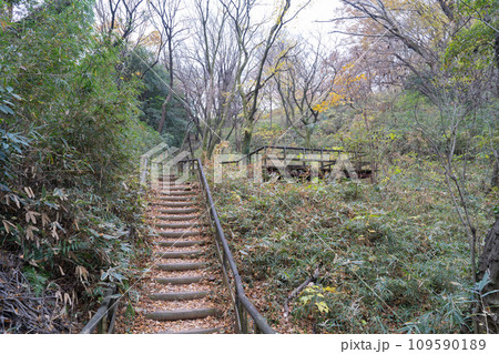 枡形山の長者穴横穴墓群(神奈川県川崎市) 枡形山の長者穴横穴墓群(神奈川県川崎市) 109590189