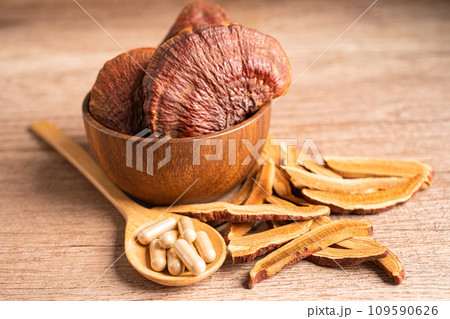 Dried lingzhi mushroom with capsule drug, alternative medicine herbal organic herb. 109590626