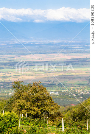 view of gardens and Alazan Valley from Bodbe 109590839