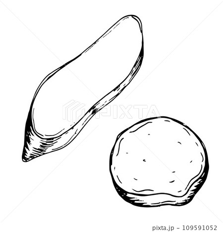 Part of sweet potatoes vector illustration isolated on white. Piece of batata ink outline hand drawn. Tuber potato black white graphic. For design menu, wrapping, ingredients of recipe, packaging 109591052
