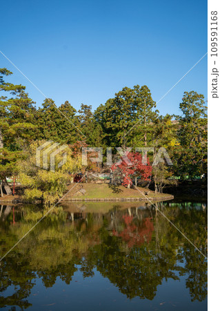 東大寺 東大寺 109591168
