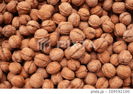 Walnuts pile, top view Walnuts pile, top view 109592100