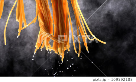 ヌードル 拉麺 麺 109592188