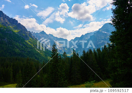 Mountains range near forest trees at summer day 109592517