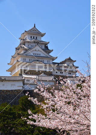 春 桜 姫路城 春 桜 姫路城 109592822