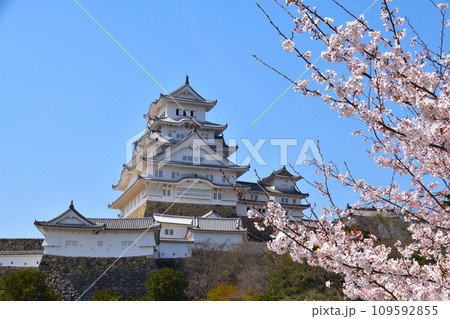 春 桜 姫路城 春 桜 姫路城 109592855