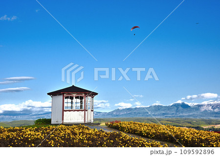 北海道フラワーランドかみふらのの風景 109592896
