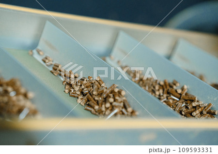 Wood pellet production machine in factory, pellet manufacturing in wood pellet line. Reusing wooden industrial waste. 109593331