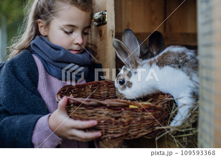 Girl feeding pet rabbit, giving it vegetables from the garden and old bread. 109593368