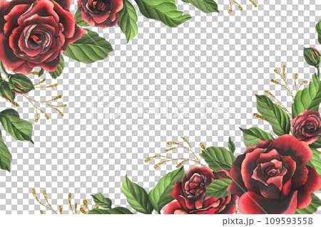 Red-black rose flowers with green leaves and buds, chic, bright, beautiful. Hand drawn watercolor illustration. Template on a white background, for decoration and design. Red-black rose flowers with green leaves and buds, chic, bright, beautiful. Hand drawn watercolor illustration. Template on a white background, for decoration and design. 109593558