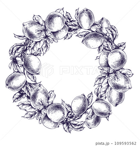 Lemons juicy, ripe with leaves, flower buds on the branches, whole and slices. Graphic botanical illustration hand drawn in blue ink. Frame, template, circle wreath EPS vector. 109593562