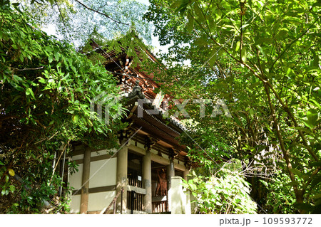 観音寺(山崎聖天)(仁王門)　【京都府乙訓郡大山崎町】 109593772