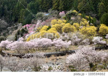 川岸の里 【奈良県五條市西吉野町川岸】 川岸の里 【奈良県五條市西吉野町川岸】 109594002
