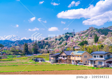 【里山の春】小川村・二反田の桜【長野県】 109594311
