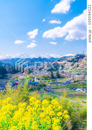 【里山の春】小川村・二反田の桜【長野県】 109594322