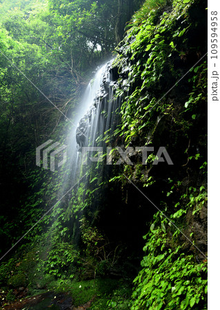 涼みの滝　【 和歌山県日高郡日高川町山野】 109594958