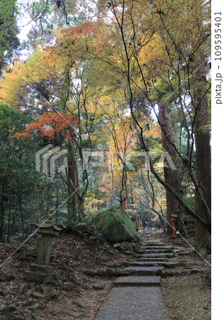 紅葉の名所「四国別格二十霊場第十番札所西山興隆寺」参道と牛石 紅葉の名所「四国別格二十霊場第十番札所西山興隆寺」参道と牛石 109595401