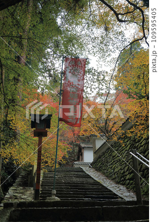 紅葉の名所「四国別格二十霊場第十番札所西山興隆寺」勅使門前の参道 紅葉の名所「四国別格二十霊場第十番札所西山興隆寺」勅使門前の参道 109595405