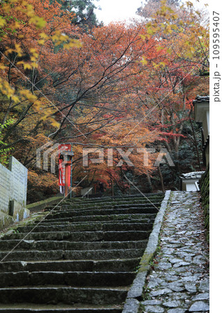 紅葉の名所「四国別格二十霊場第十番札所西山興隆寺」勅使門前の参道 紅葉の名所「四国別格二十霊場第十番札所西山興隆寺」勅使門前の参道 109595407