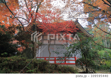 紅葉の名所「四国別格二十霊場第十番札所西山興隆寺」宝集館 109595440