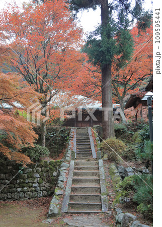 紅葉の名所「四国別格二十霊場第十番札所西山興隆寺」宝集館前から本堂を見る 109595441