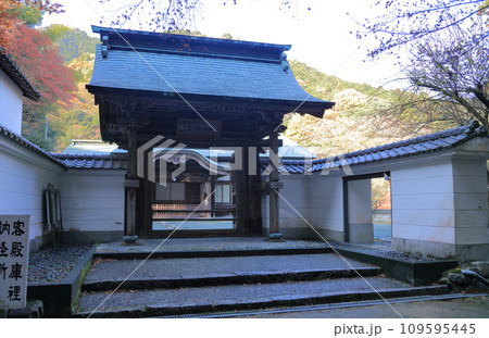 紅葉の名所「四国別格二十霊場第十番札所西山興隆寺」勅使門と客殿・庫裡（本坊） 109595445