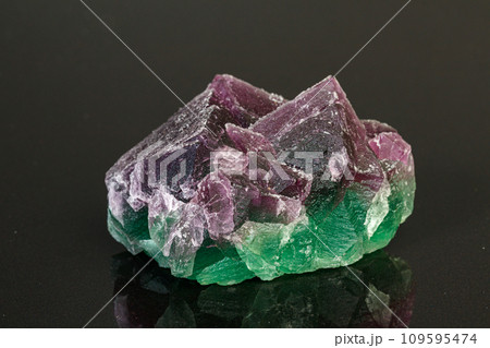 macro mineral stone green and purple fluorite on a black background 109595474