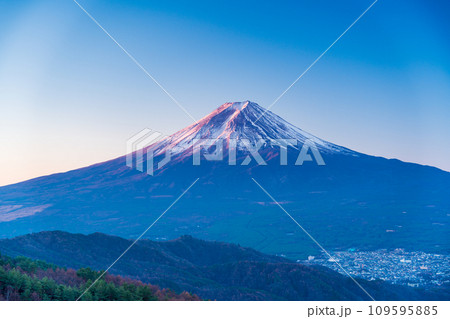 （山梨県）晩秋のカラマツ黄葉と富士山　夜明け 109595885