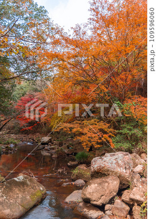 秋の豪渓、紅葉 秋の豪渓、紅葉 109596060
