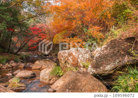 秋の豪渓、紅葉 秋の豪渓、紅葉 109596072