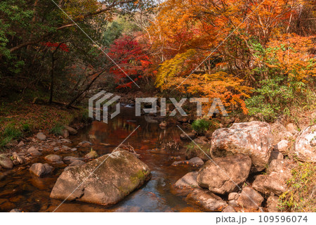 秋の豪渓、紅葉 109596074