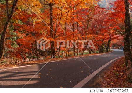 秋の豪渓、紅葉 秋の豪渓、紅葉 109596091