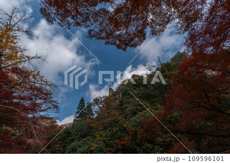 秋の豪渓、紅葉 109596101