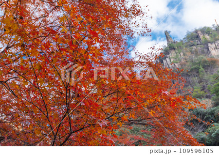 秋の豪渓、紅葉 秋の豪渓、紅葉 109596105