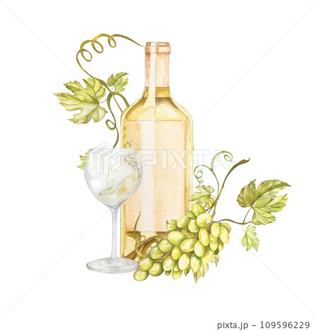 Watercolor wine design elements: wine glass, vine, wine bottle, grape . watercolor illustration. 109596229