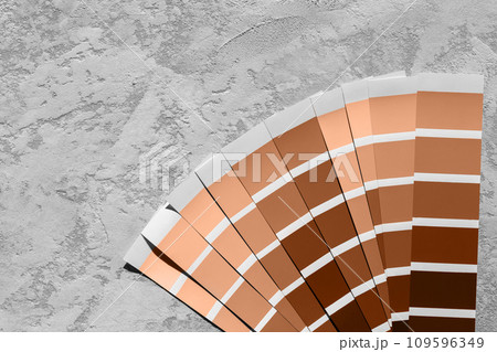 Colour of the year Palette Catalog Peach Fuzz samples, paint selection cards on grey stone background 109596349