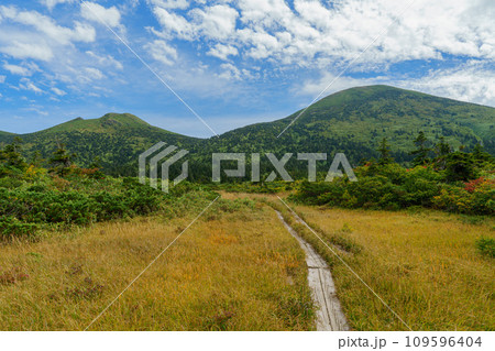 夏の八甲田山の毛無岱 青森県青森市観光 夏の八甲田山の毛無岱 青森県青森市観光 109596404