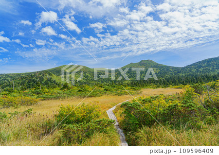 夏の八甲田山の毛無岱 青森県青森市観光 夏の八甲田山の毛無岱 青森県青森市観光 109596409