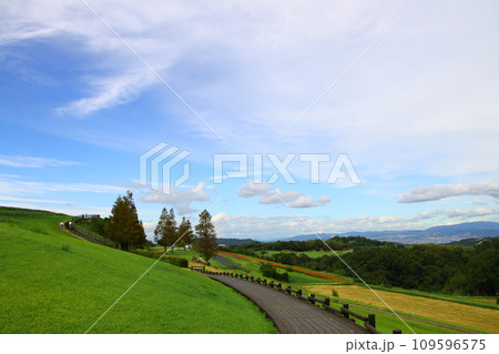 あわじ花さじき 109596575