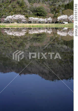 山間の田植えを待つ水田 109597340