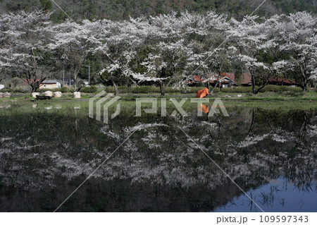山間の田植えを待つ水田 109597343