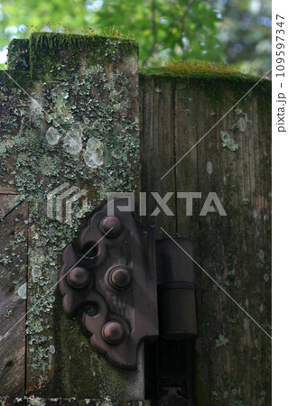 山門の金具 山門の金具 109597347