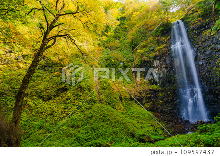 玉簾の滝　山形県観光 109597437