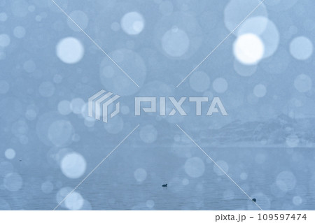 湖北の滋賀県高島市マキノ町海津浜の雪降る古い集落を撮影 湖北の滋賀県高島市マキノ町海津浜の雪降る古い集落を撮影 109597474