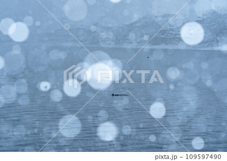 湖北の滋賀県高島市マキノ町海津浜の雪降る古い集落を撮影 109597490