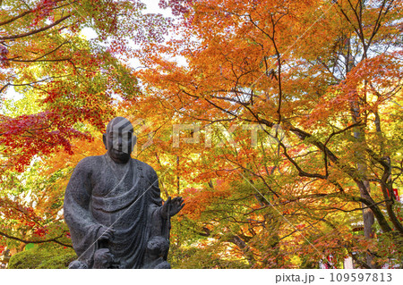 秋の京都　紅葉に包まれた今熊野観音寺の子まもり大師 109597813