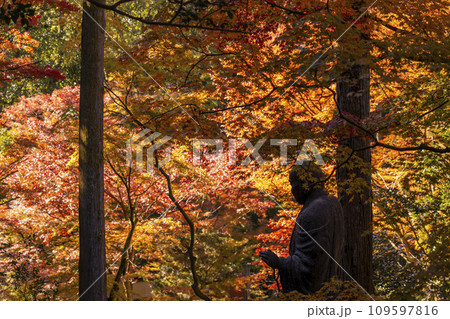 秋の京都　紅葉に包まれた今熊野観音寺の子まもり大師 109597816
