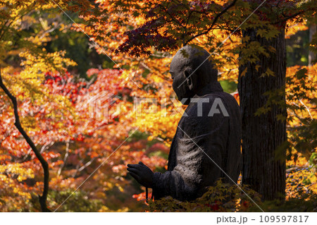 秋の京都　紅葉に包まれた今熊野観音寺の子まもり大師 109597817