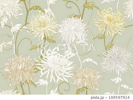 Chrysanthemum decorative flowers Chrysanthemum decorative flowers 109597914
