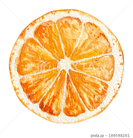 a slice of orange , hand drawn watercolor illustration of orange a slice of orange , hand drawn watercolor illustration of orange 109598201